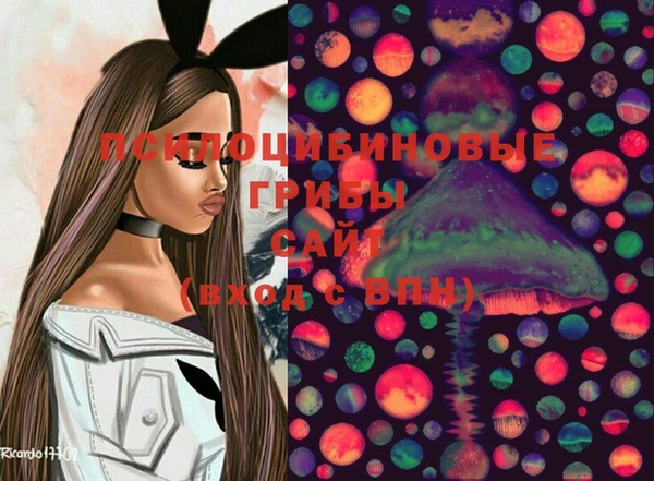 крисы Балахна
